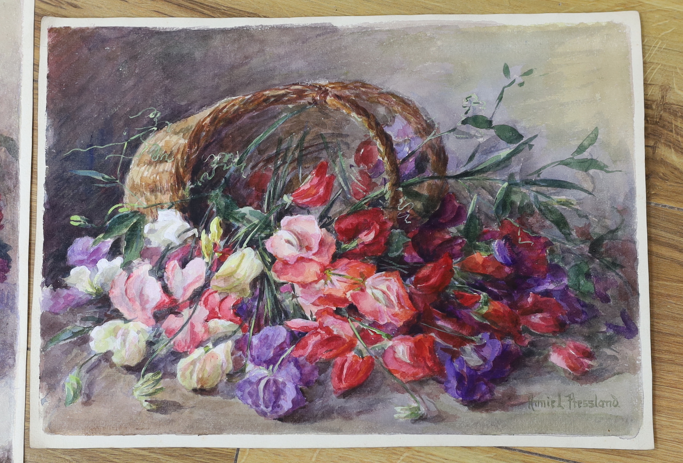 Annie L Pressland (1862-1933) two watercolours on card, still life’s of flowers, signed, 26 x 36cm